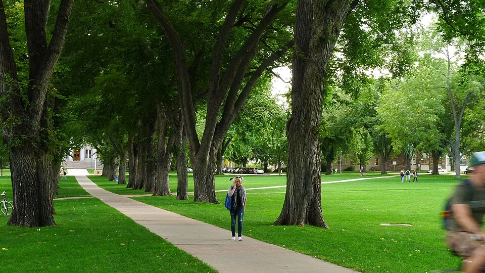 The Oval в кампусе Colorado State University, 2011 год