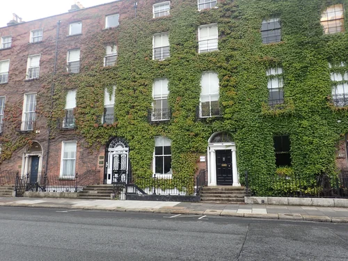 Ivy-covered brick houses with arched doorways and black railings, with an empty street in front