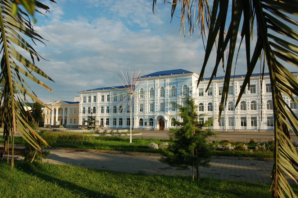 Длинное бело-голубое здание за газоном, на переднем плане листья пальмы
