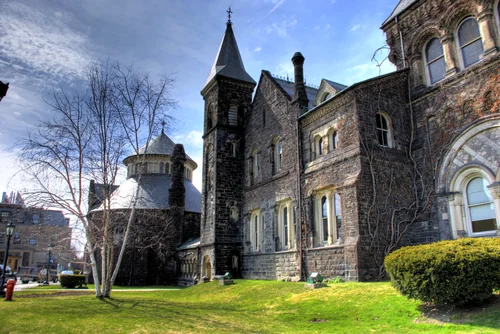 A dark stone building with a pointed tower and a round wing, with a lawn and a leafless birch in front