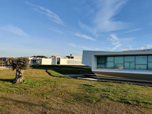 Modern white buildings with a grass-covered roof and an old olive tree