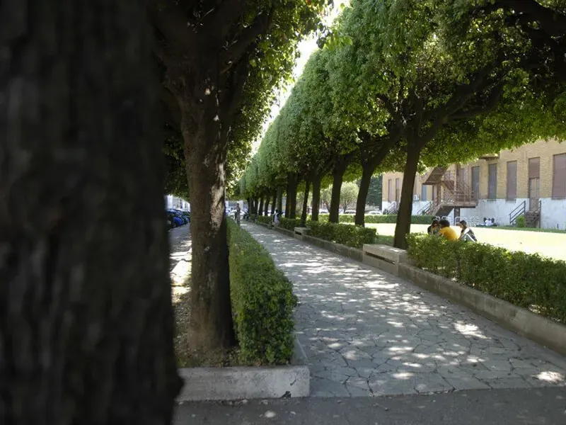 Студенческая жизнь в Sapienza